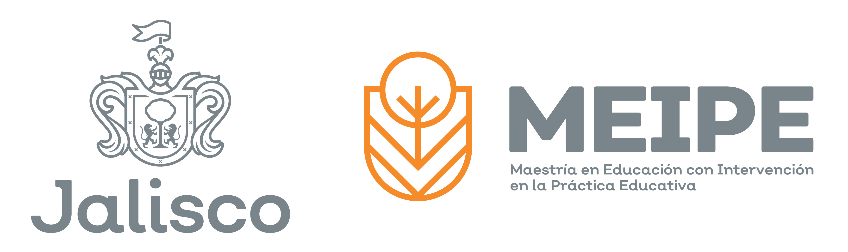 MEIPE en línea